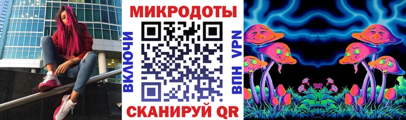 Купить где  Рузаевка  Псилоцибиновые грибы Cubensis 